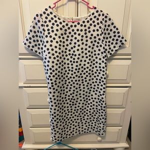 JCrew Polka Dot Dress
